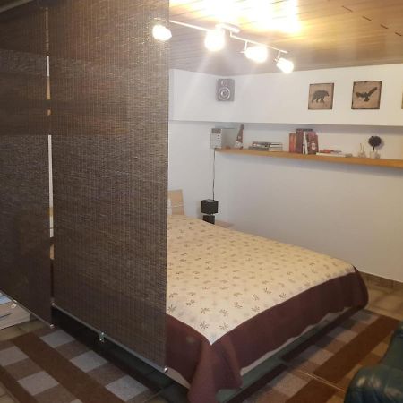 Gemuetliche Ferienwohnung Mit Kamin Und Sauna! Nistertal エクステリア 写真