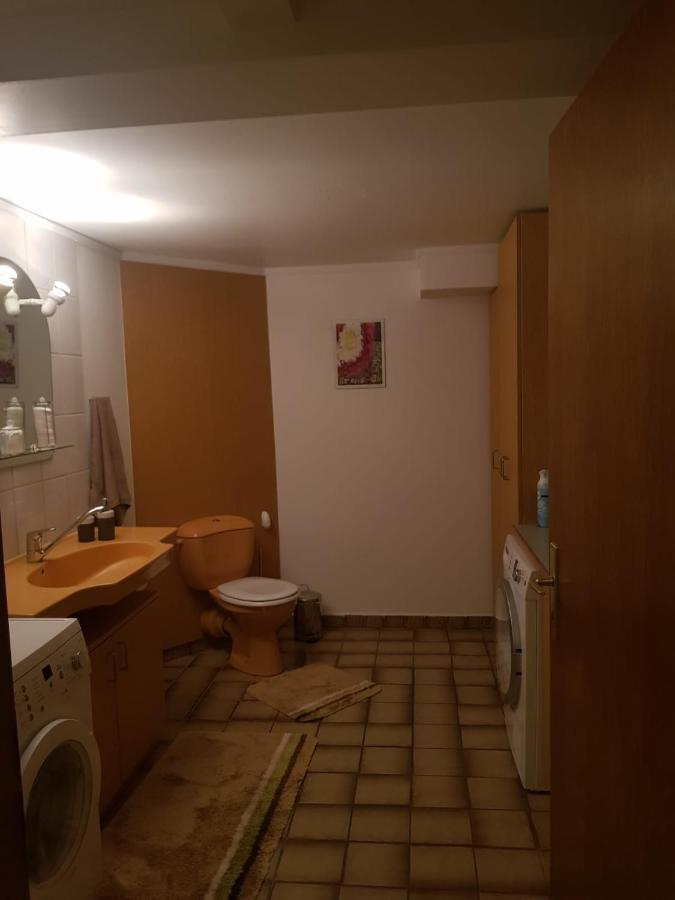 Gemuetliche Ferienwohnung Mit Kamin Und Sauna! Nistertal エクステリア 写真