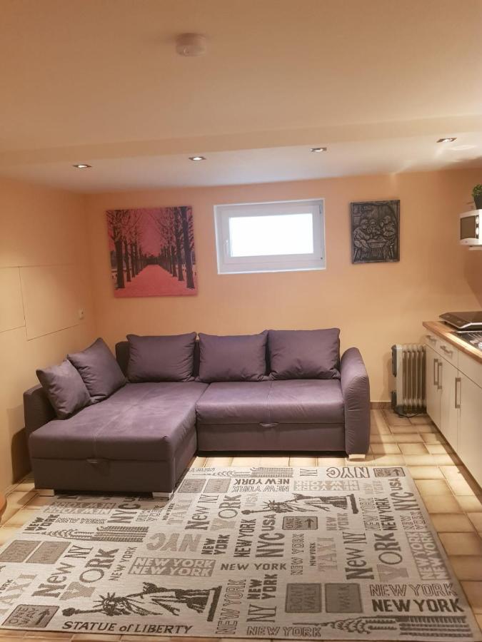 Gemuetliche Ferienwohnung Mit Kamin Und Sauna! Nistertal エクステリア 写真