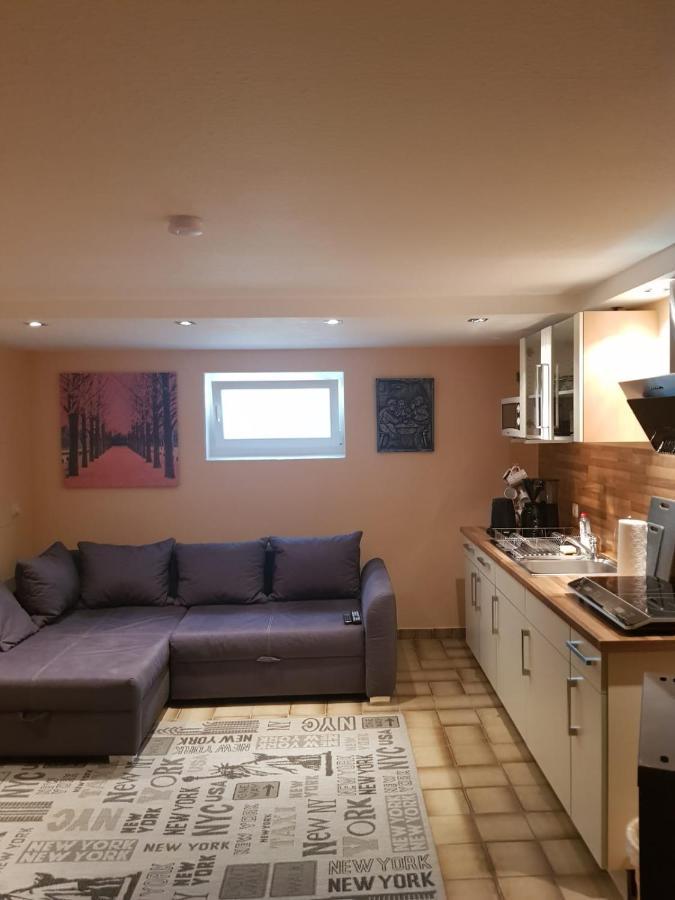 Gemuetliche Ferienwohnung Mit Kamin Und Sauna! Nistertal エクステリア 写真