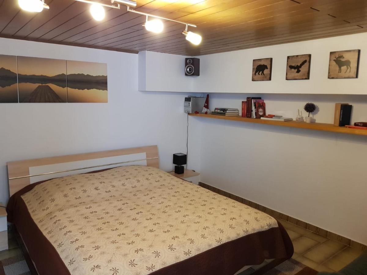 Gemuetliche Ferienwohnung Mit Kamin Und Sauna! Nistertal エクステリア 写真